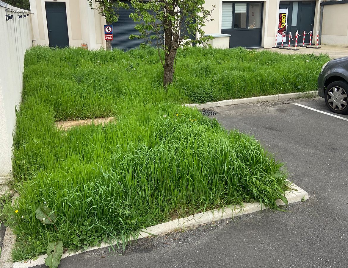 ENTRETIEN JARDIN – AVANT