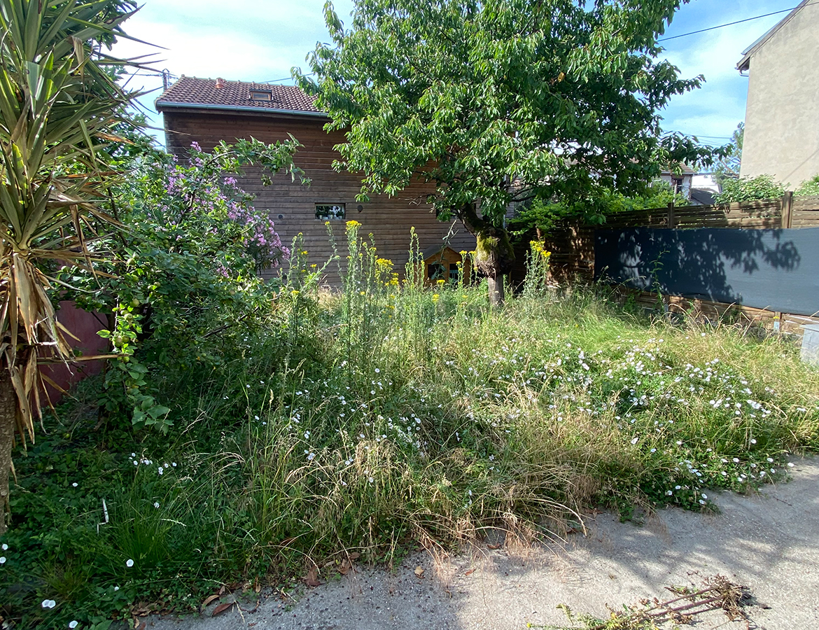 REMISE EN ETAT JARDIN – AVANT