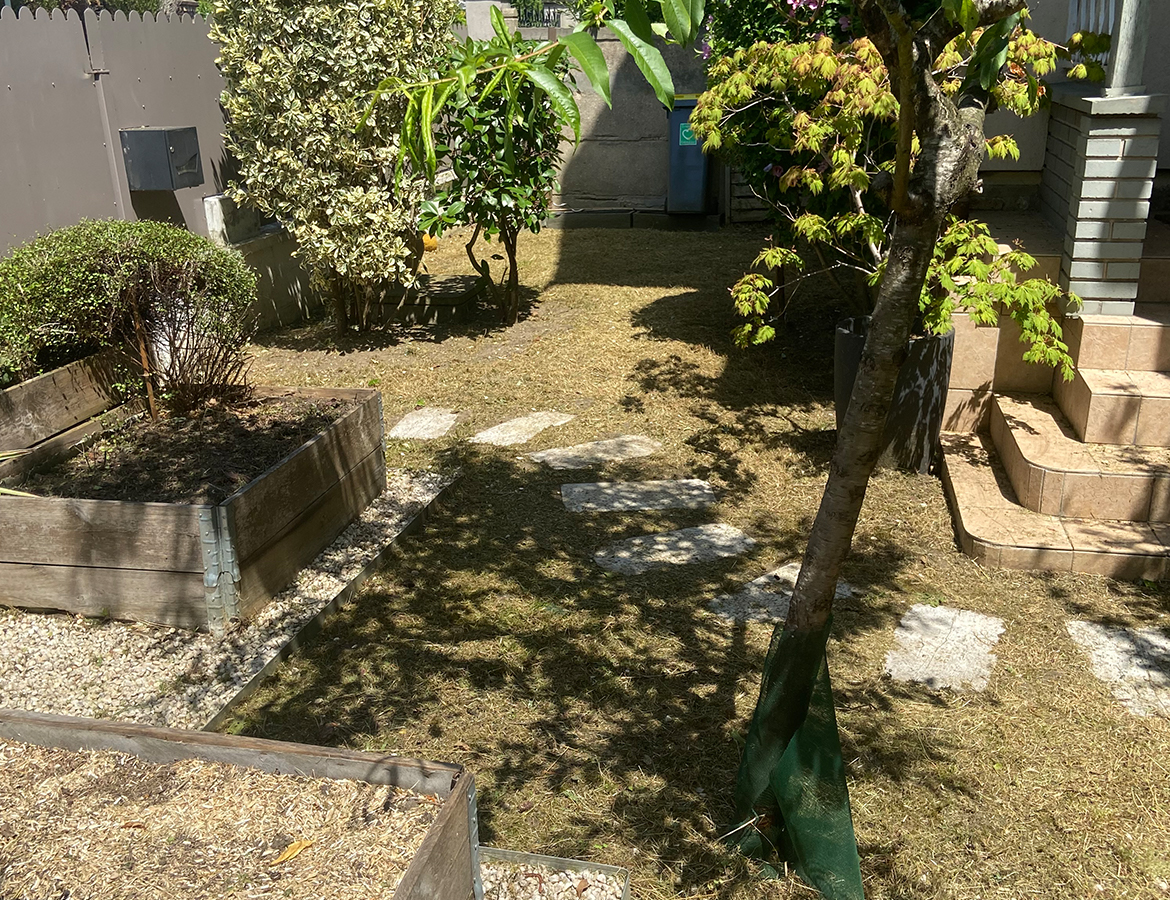 REMISE EN ETAT JARDIN – APRES