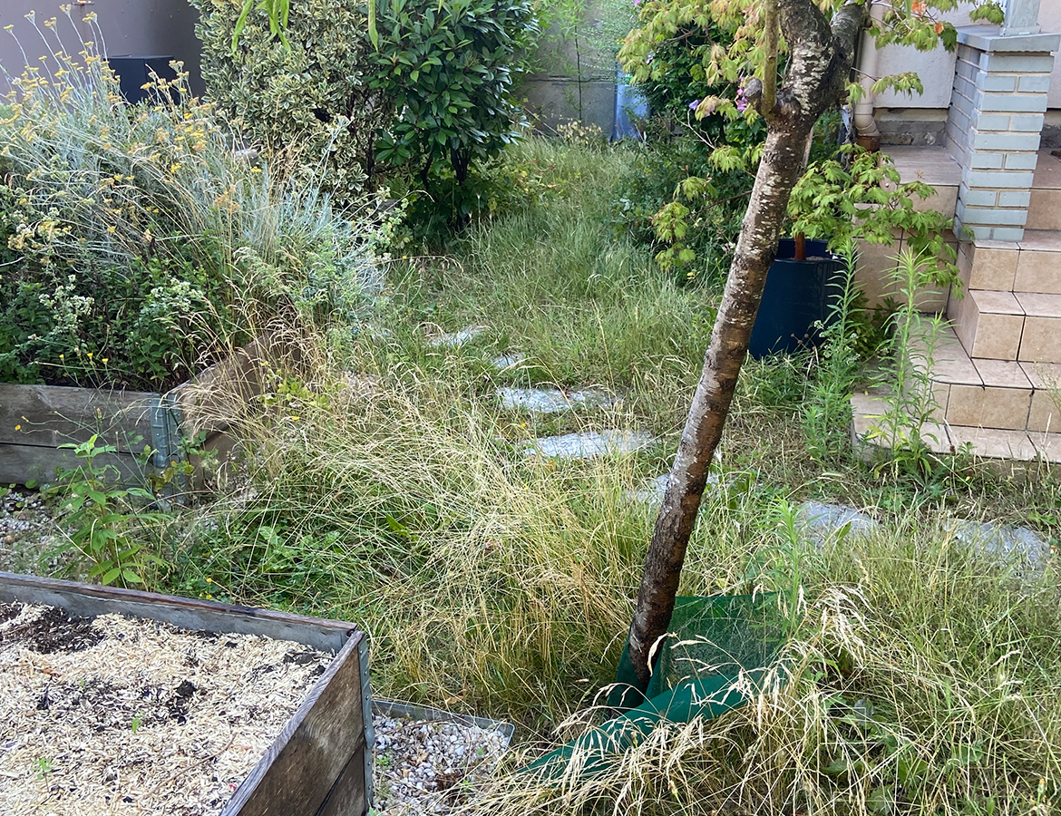 REMISE EN ETAT JARDIN – AVANT