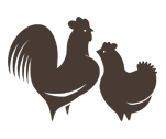 icon1