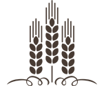icon2