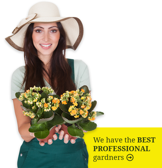 women-with-flower